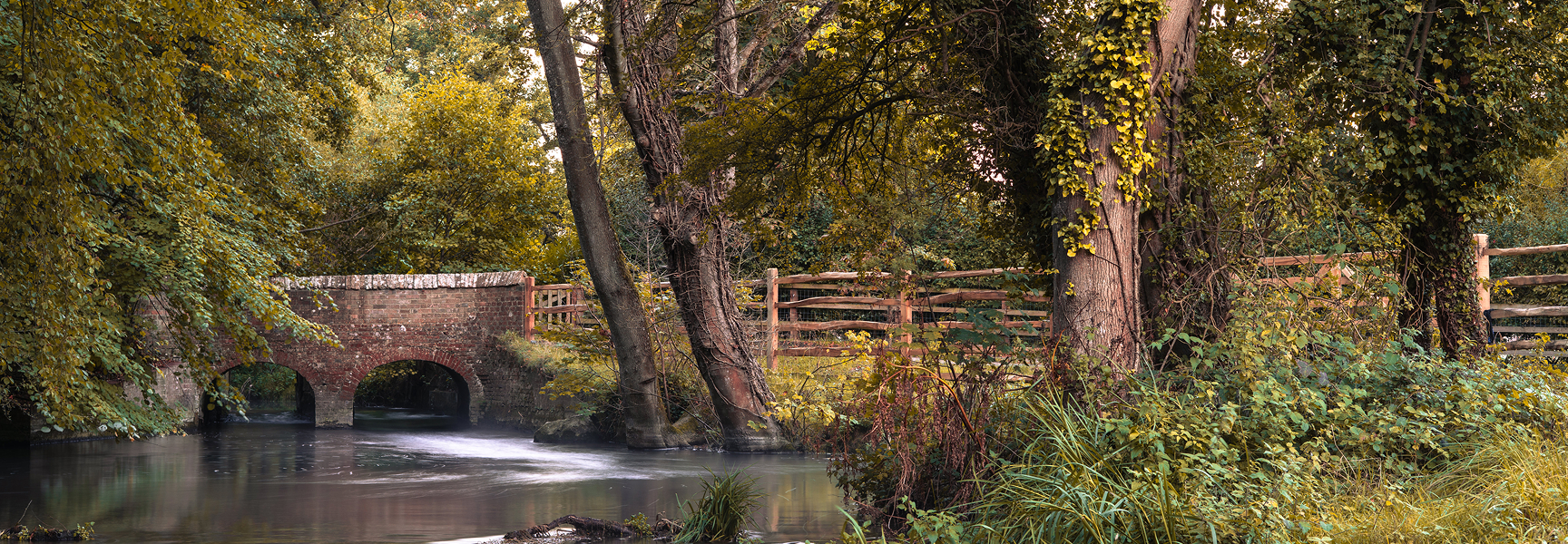 Description for the image