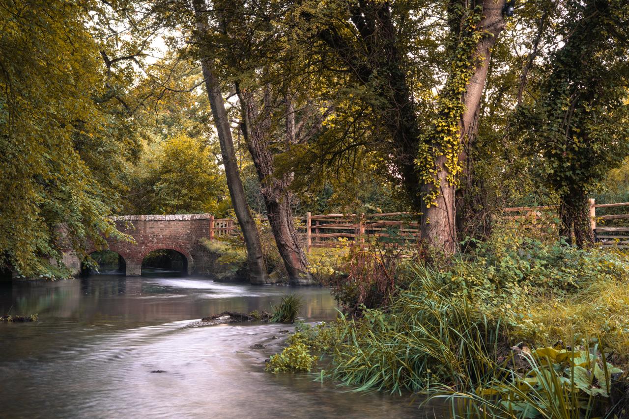 flowing water on an autumn morning