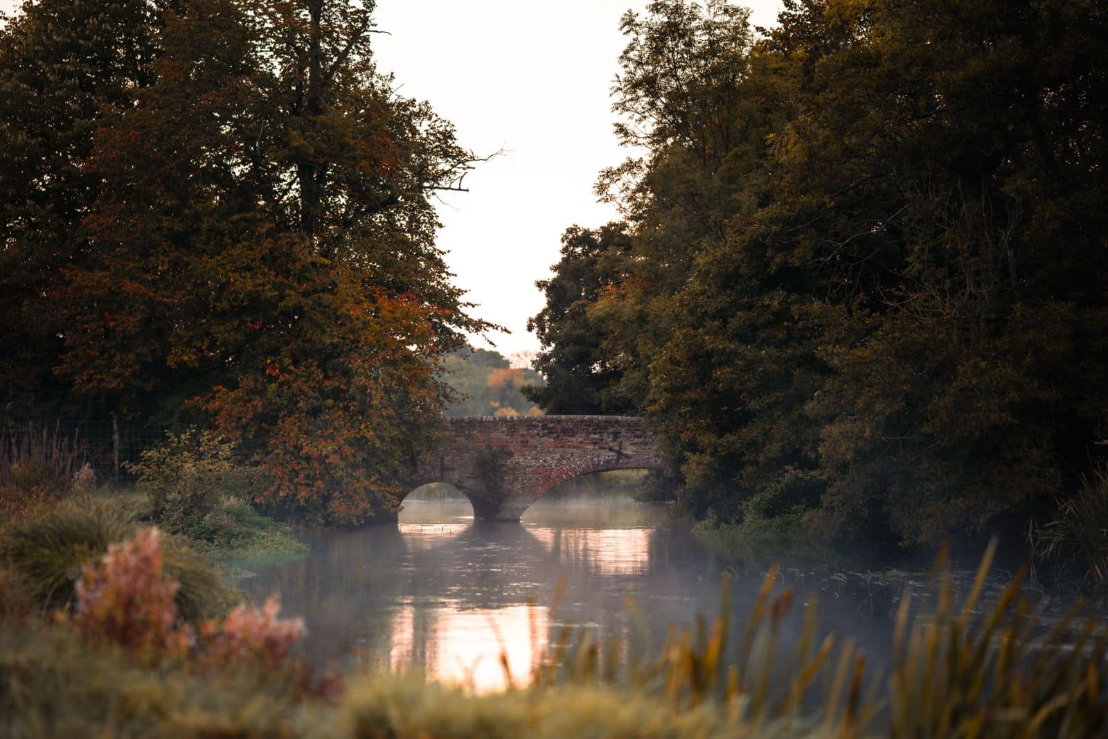 misty morning bridge at the Kennet