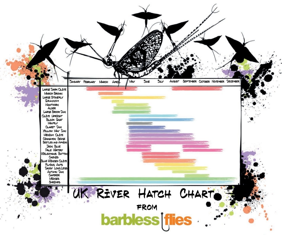 Description for the image